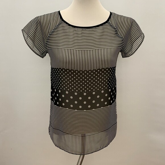 The Limited Women's Top X-Small Black Ivory Sheer Striped Polka Dots - Picture 1 of 9